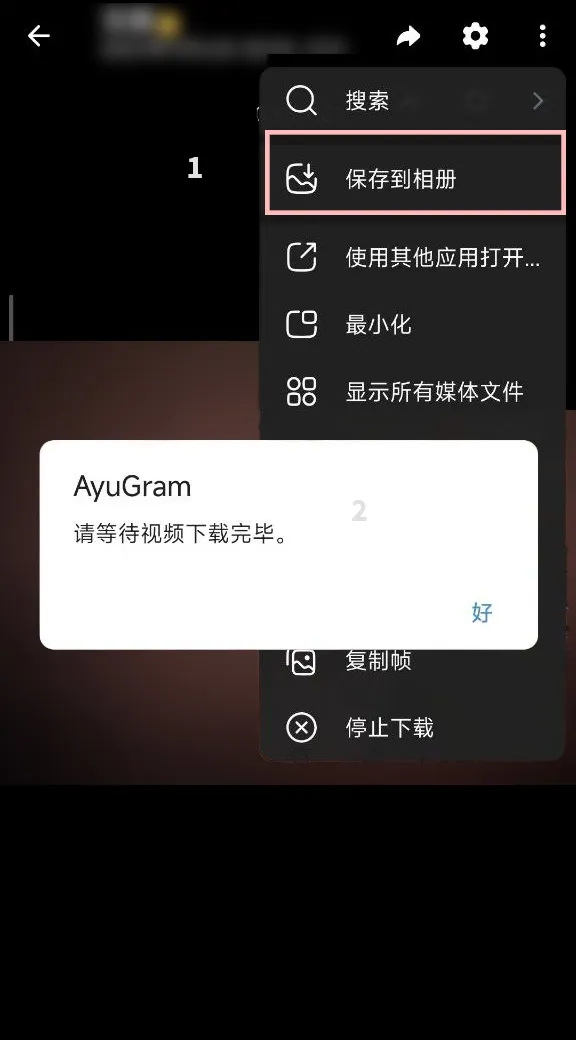 AyuGram Android