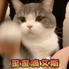 歪歪滴艾斯