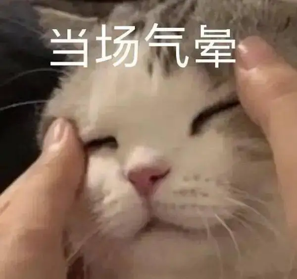 想到那169块我就....😩